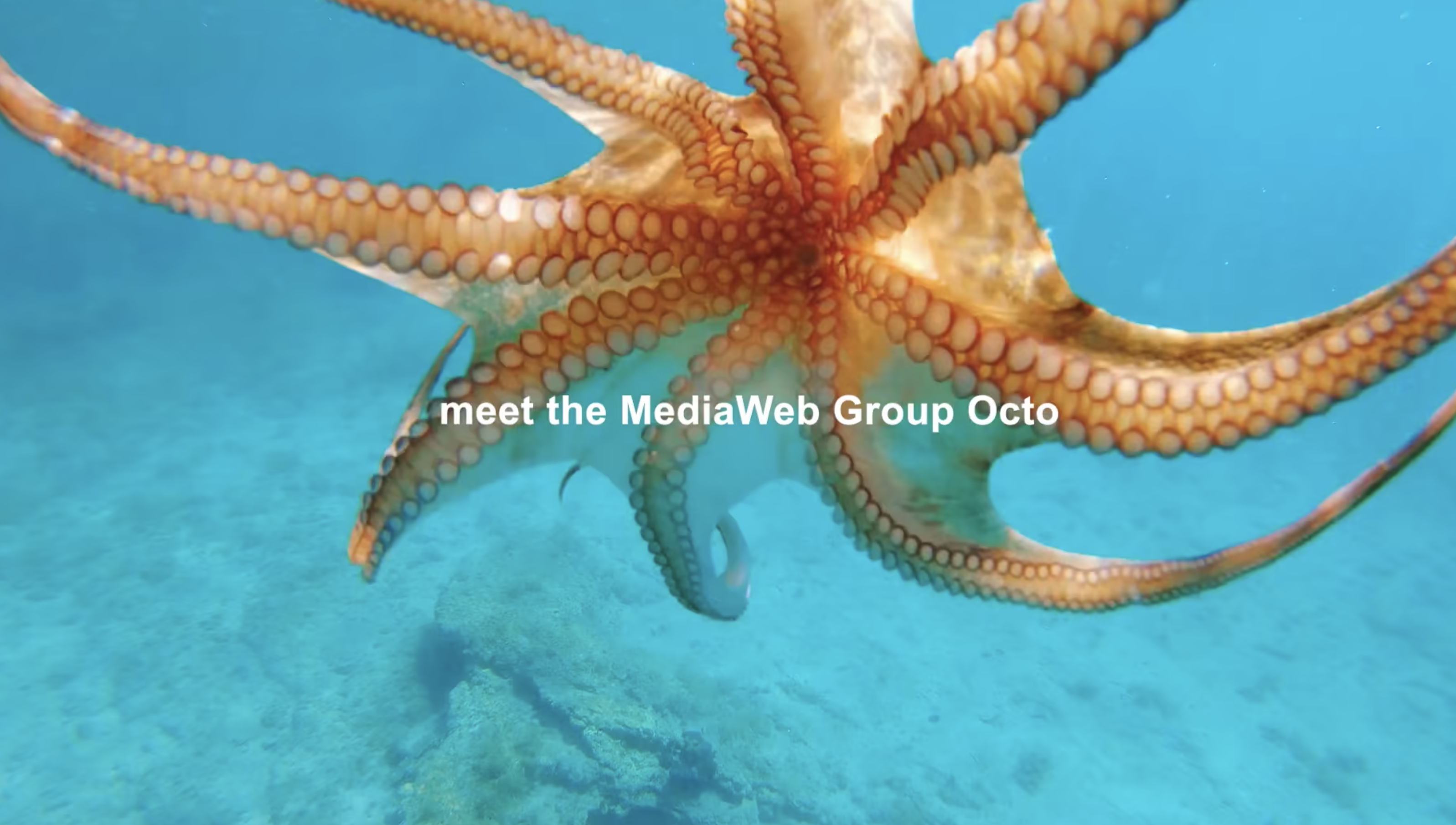 MediaWeb Group